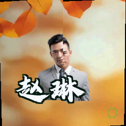 赵琳